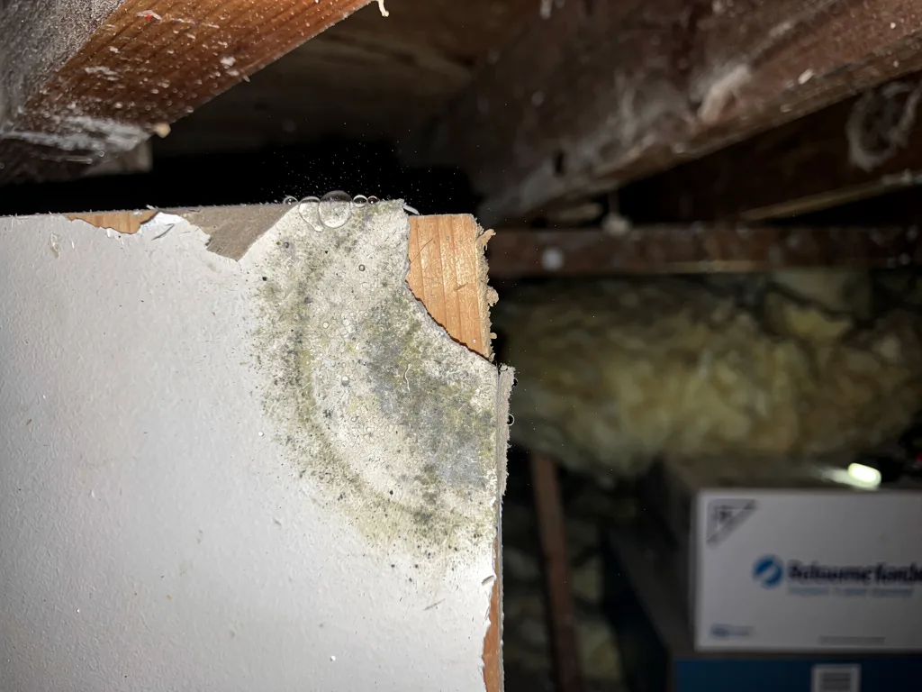 Recognizing a Hidden Water Damage Warning Sign